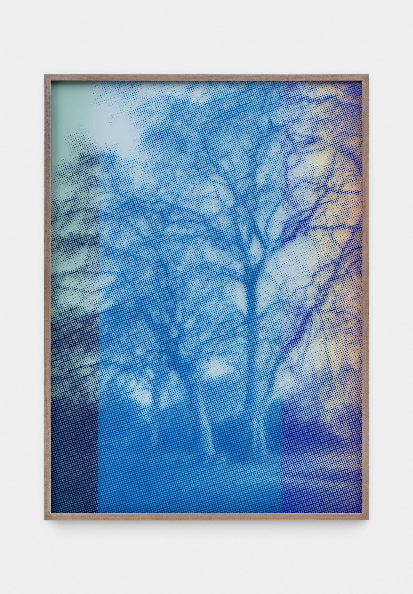 Portrait of a Tree in Blues